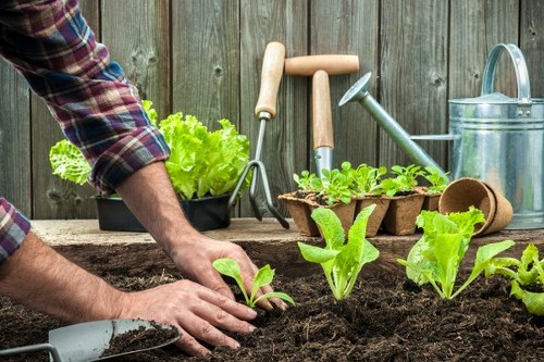 Secure checkout welcome banner for Gardening Abbey Wood