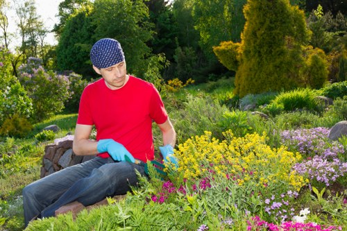 Flourishing backyard garden in Abbey Wood