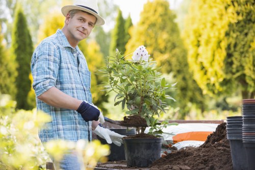 Urban gardening setup in Abbey Wood